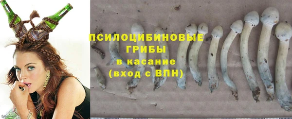 2c-b Заводоуковск