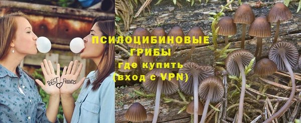 2c-b Заводоуковск