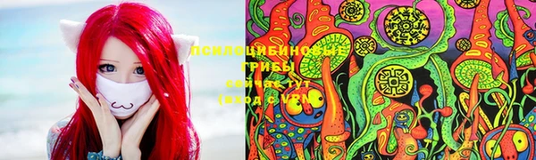 спиды Елизово