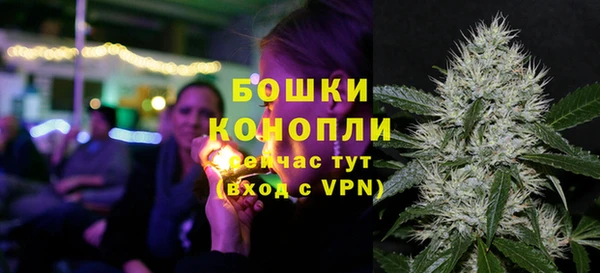 2c-b Заводоуковск