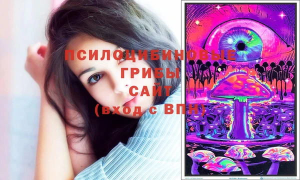 хмурый Заволжск